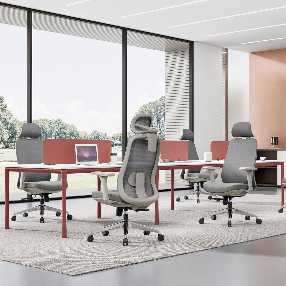 Briar Lumbar Mesh Chair-1