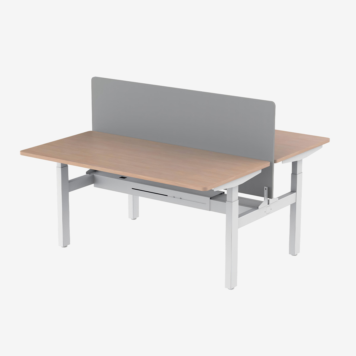 Double Adjustable Desk