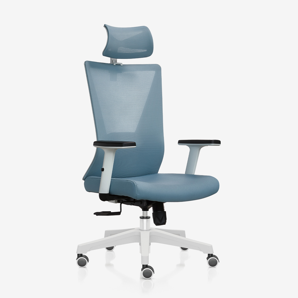 Larkin Lumbar Mesh Chair